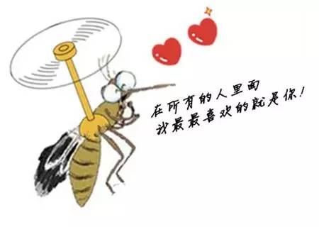 蚊子的生活習(xí)性